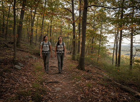  Knobstone Trail